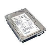 Dell 300 GB SAS 15K HDD